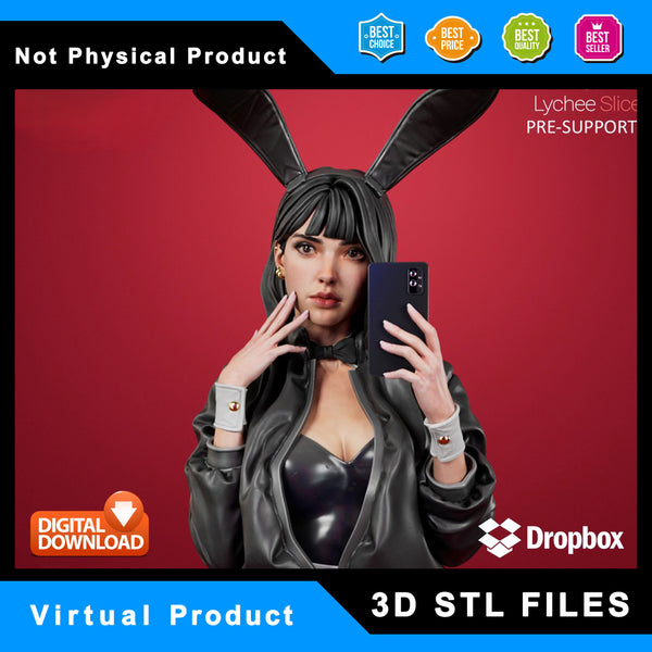 R118 - Anime character design, the bunny fumiko, waifu 3d stl file instant download