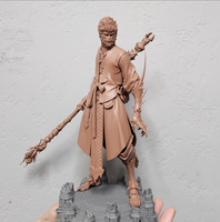 R050 - Games Character designs, Black Myth Wukong With Yasha Armour, 3D stl instant download files, 3d sun wukong design