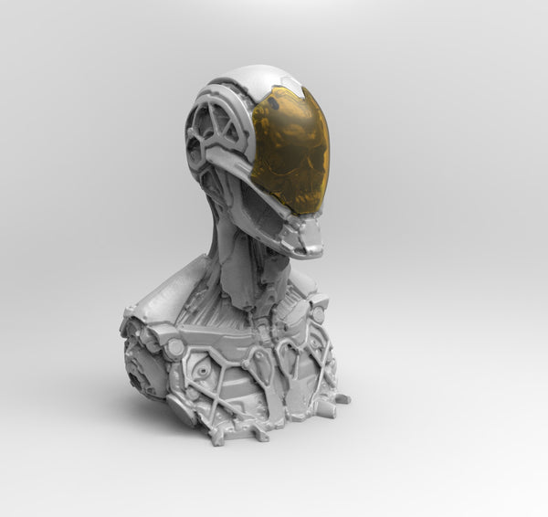 A797 - Cyber character design, The Cyber head armor bust statue, STL 3D design print download files