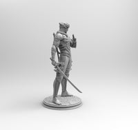 E776 - Games character design, The Ryu ninja statue, STL 3D model design print download files