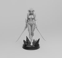 H011 - Female Character design, The Double Sword female with sexy armor statue, STL 3D model design print download files