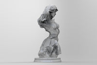 A888 - Comic Character design, The Half Statue of WW Girl, STL 3D model design print download files