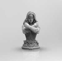 A533 - Comic character design bust, The Wondar woman bust, STL 3D model design print download files