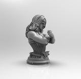 A533 - Comic character design bust, The Wondar woman bust, STL 3D model design print download files