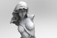 A888 - Comic Character design, The Half Statue of WW Girl, STL 3D model design print download files