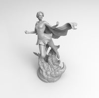 F522 - 2head / 4pose Version of Comic Heroes, Cute Shorthair Superwomen, STL 3D model design print download file