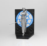 E260 - Cartoon character fan arts, The Darth ice princess with saber, STL 3D model design print download files