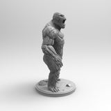 A178 - The legendary monster design, Kong , STL 3D model design print download files