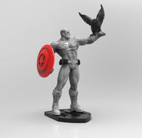 A684 - Comic character design, The captain with the hawk, STL 3D model design print download files