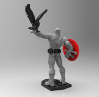 A684 - Comic character design, The captain with the hawk, STL 3D model design print download files