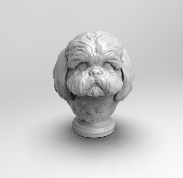 A755 - Dog bust statue, The Shi Tzu dog design, STL 3D model design print download files