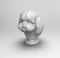 A755 - Dog bust statue, The Shi Tzu dog design, STL 3D model design print download files