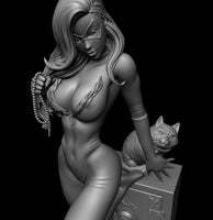 A999 - Comic Character design, The Heroes Sexy Bcat - STL 3D Model design Print download files