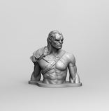 B018 - Orc Bust Half body statue , STL 3D model design print