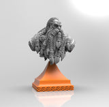 E351 - Legendary character bust, The Dwarf Peti bust design, STL 3D model design print download files